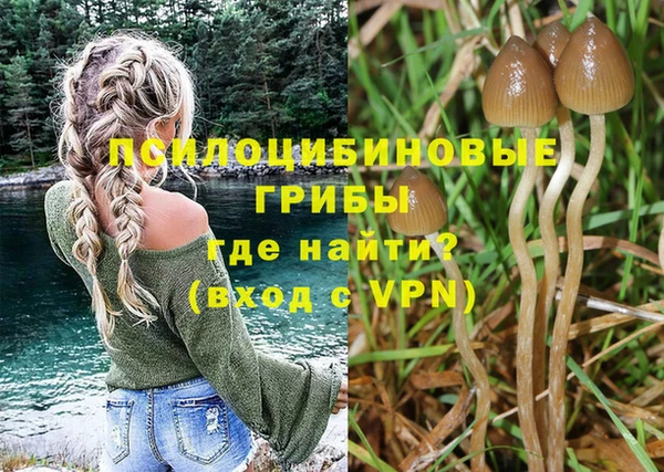 MESCALINE Аркадак