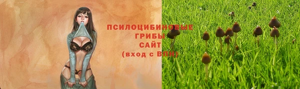 MESCALINE Аркадак
