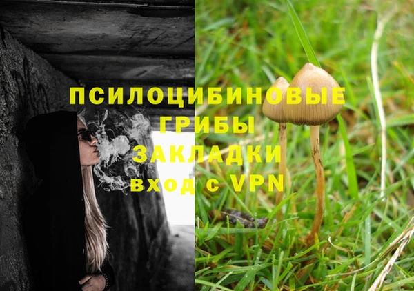 первитин Арсеньев